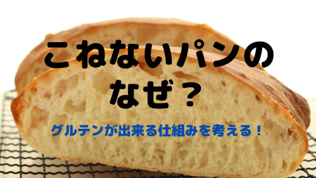 【パン作りのなぜ？】捏ねないパンが膨らむ原理とは？グルテンが出来る仕組みを考える！