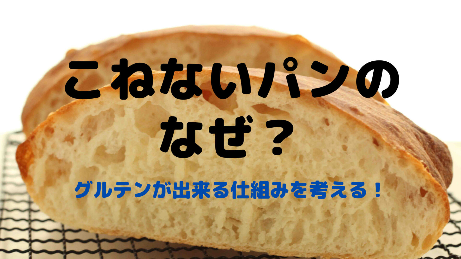 【パン作りのなぜ？】捏ねないパンが膨らむ原理とは？グルテンが出来る仕組みを考える！ - 西東京市パン教室アトリエエピス